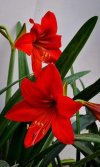 IMG-20220111-WA0001.jpg