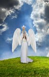 angel-releasing-a-dove-jill-battaglia.jpg