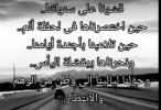 IMG_٢٠٢٢٠٢٠٣_١٩١٩٥٠.jpg