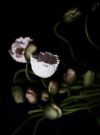 1644253439417.png