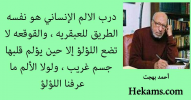 1644322006538.png