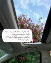 IMG_20220206_114315_811.jpg