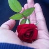 FB_IMG_1645126210961.jpg