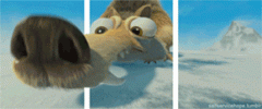 ccc3d.gif ccc3d.gif