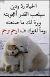 IMG_٢٠٢٢٠٢١٧_٢٢٢٥٣٠.jpg