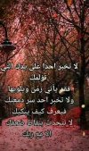 IMG_٢٠٢٢٠٢١٨_١٤٢٠٤٠.jpg