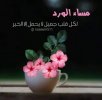 ٢٠٢٢٠٢١٣_٢٠٣٤٠٠.jpg