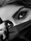 FB_IMG_1645366983771.jpg