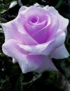 FB_IMG_1645455513977.jpg