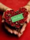 ٢٠٢٢٠٢٢٢_١٨٠٥١١.jpg
