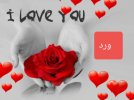 ٢٠٢٢٠٢٢٢_١٩١٠٤٠.jpg