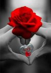 FB_IMG_1645540469118.jpg