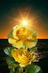 FB_IMG_1645535717936.jpg