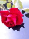 FB_IMG_1645629321564.jpg