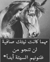 الضنون.jpg