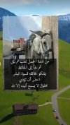 IMG_٢٠٢٢٠٢٢٥_١٥٠٢٠٢.jpg