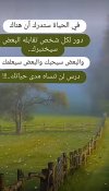 IMG_٢٠٢٢٠٢٢٣_٠٨٥٢٠١.jpg