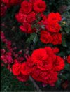 IMG_٢٠٢١٠٩٠٢_١٦٥٣٤٥.jpg