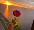 IMG_٢٠٢٢٠٢٢٧_١٨٤١٤٥.jpg