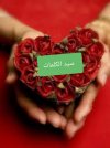 ٢٠٢٢٠٢٢٨_١٦٣٣٥٦.jpg