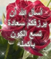 1646204037186.png