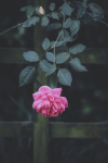 1646297358178.png