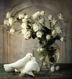 b28740d0e2a63b7393cae649dc1e8143--peace-dove-white-doves.webp