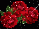 shof_cda285cec4b49f6.gif