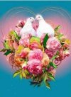 5d-diamond-painting-two-white-doves-kit-30300466380983__18614.1630509860.jpg
