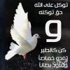 3dlat.com_13970011521.jpg