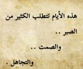٢٠٢٢٠٣١١_١١٢٧٣٥.jpg