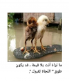1646993853985.png