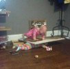 IMG_20220319_021315_368.jpg