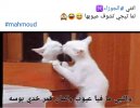 IMG_٢٠٢٢٠٤٠٢_٠١٣٦١٤.jpg