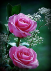 1650230254205.png