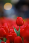 1650230439334.png