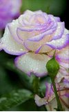 IMG_٢٠٢١٠٨٠٨_١٠٤٨١٧.jpg