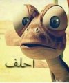 IMG_٢٠٢١٠٨٢٤_١٣٥٢٥٠.jpg