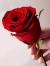 1650538995014.png