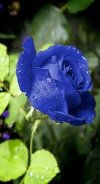 FB_IMG_1650562993494.jpg