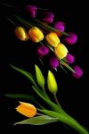 FB_IMG_1650562975990.jpg