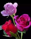FB_IMG_1650653699283.jpg
