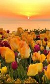 IMG_٢٠٢٢٠٤٢٤_١٤٣٤٤٩.jpg