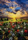 IMG_٢٠٢٢٠٤٢٤_١٤٣٥١١.jpg