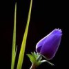 FB_IMG_1650804027701.jpg