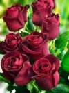 FB_IMG_1650804019443.jpg