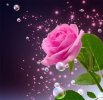 FB_IMG_1651080549240.jpg