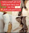 IMG_٢٠٢٢٠٥١٣_١٧٥٢٢٨.jpg