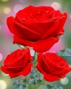 FB_IMG_1646712732301.jpg