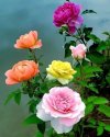 FB_IMG_1654338771905.jpg